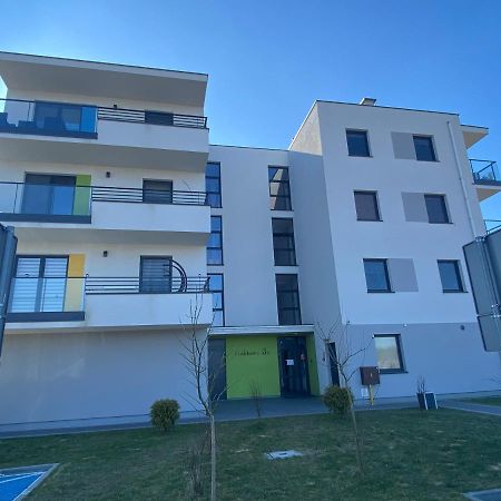 Apartament Piatka Apartment Plock Exterior photo